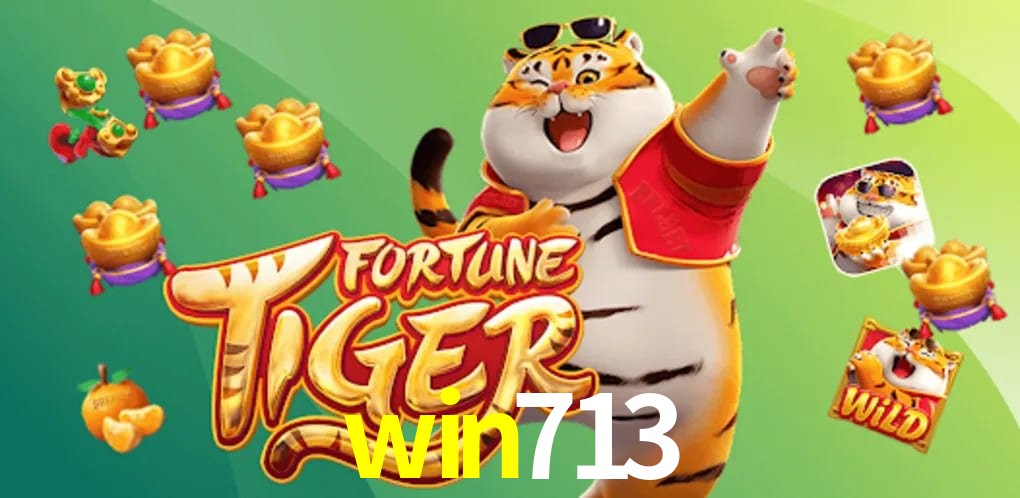 2FA Security win713